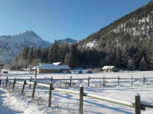 ICICLE ROAD, 2 MILES FROM TOWN